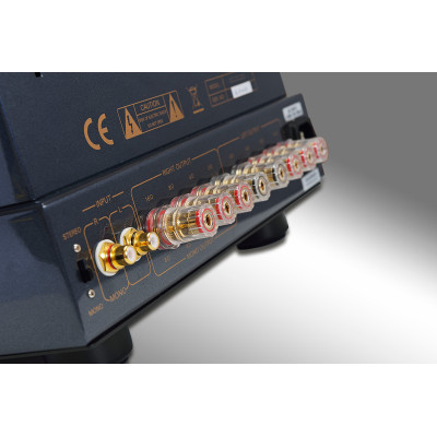 Primaluna Evo 100 Power Amplifier