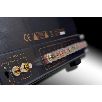Primaluna Evo 200 Power Amplifier